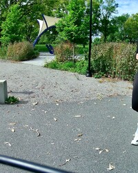 album-cover